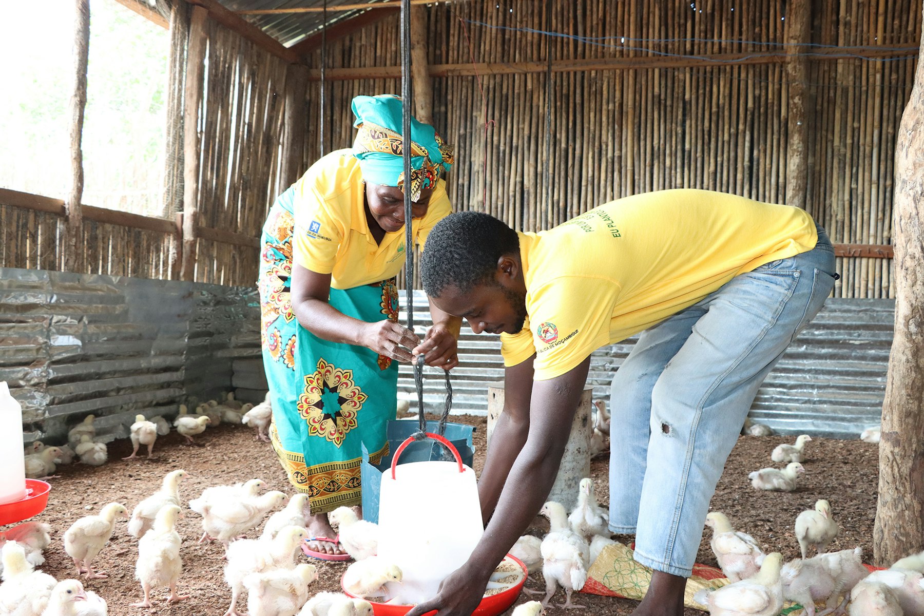 Poultry associations are helping internally displaced people to identify new sources of food and income, and bounce back from the shocks of recent years. | AKDN / Safira Chirindza