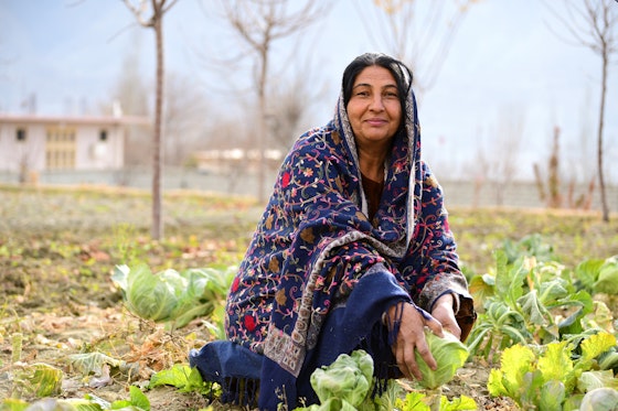An HBL Microfinance Bank beneficiary from Gilgit runs her own farm.