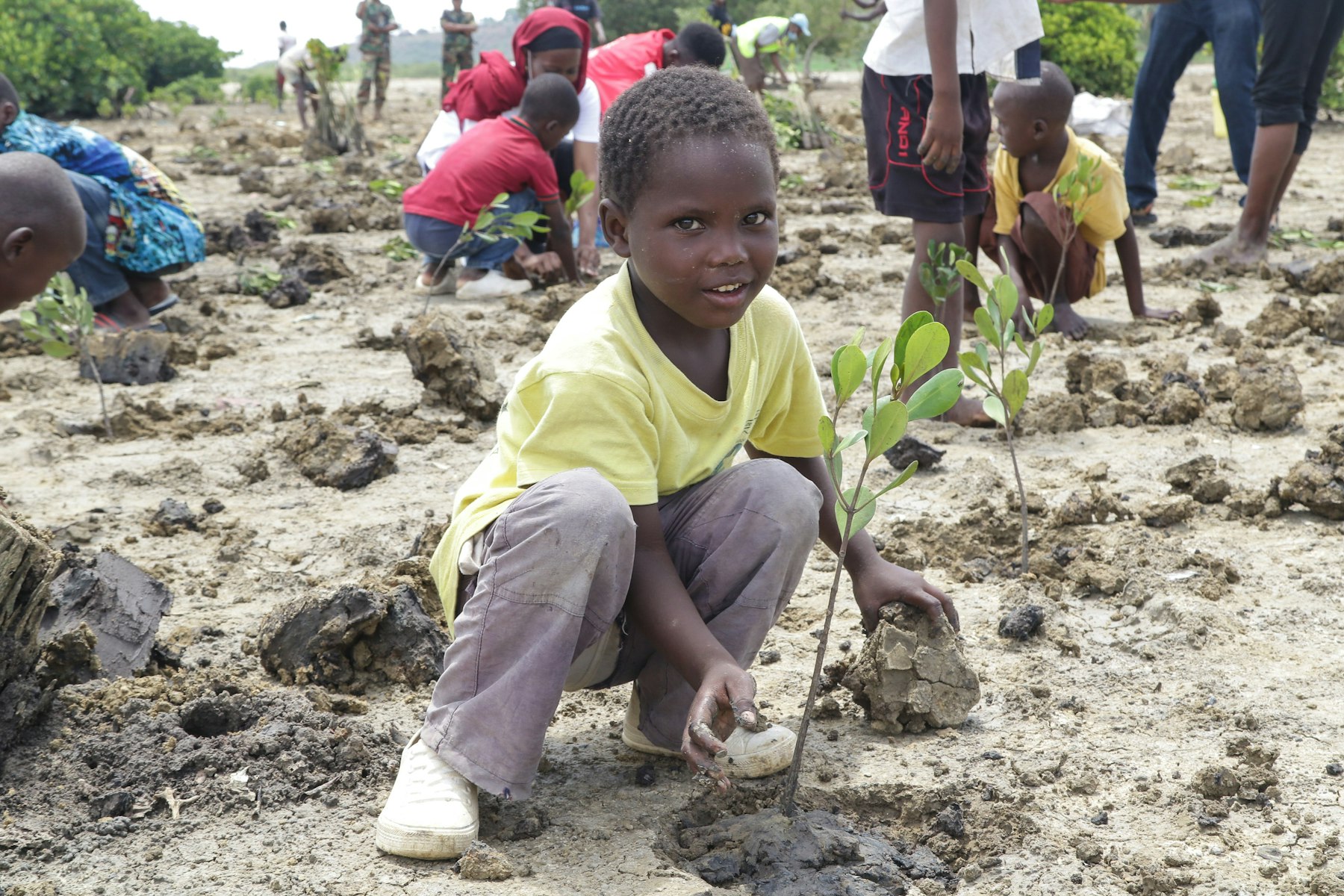 In Mombasa, Kenya, a young boy “plants his age” – the number of mangrove seedlings equal to his years on Earth.